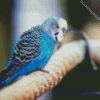 Blue parakeet Bird diamond painting