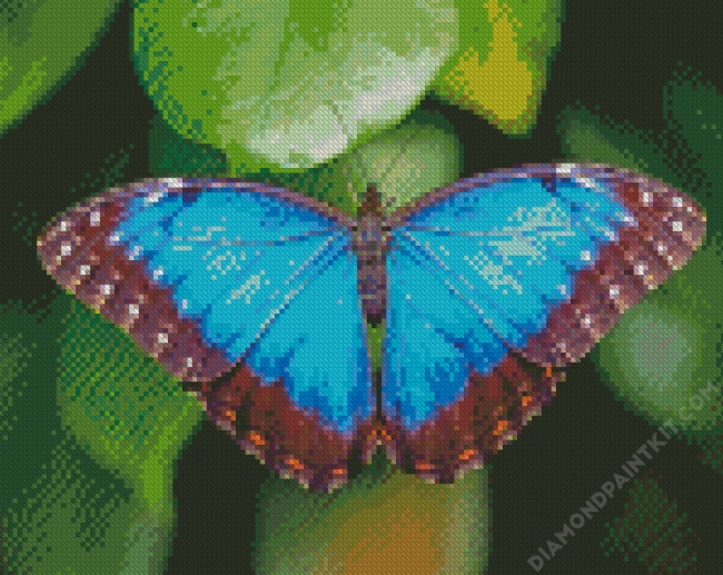 Blue Morpho Butterfly diamond painting