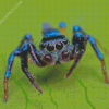Blue Spider diamond painting