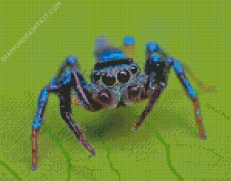 Blue Spider diamond painting