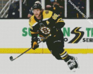 Boston Bruins Ice Hockey Player diamond painting