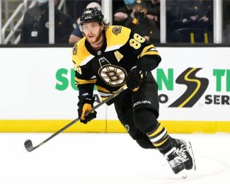 Boston Bruins Ice Hockey Player diamond painting
