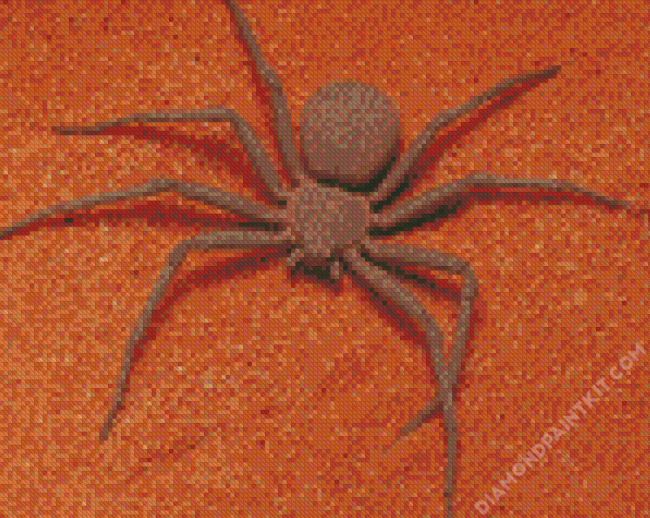 Brown Spider Insect diamond painting