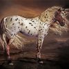 Brown Appaloosa Horse Art diamond painting
