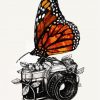 Butterfly On Camera diamond painting