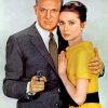 Cary Grant Audrey Hepburn diamond painting