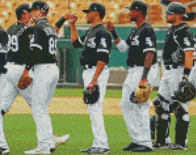 Chicago White Sox Baseball Players diamond painting