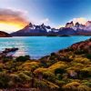 Chile Nature Landscape diamond painting