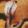 Cobra Snake Reptile diamond painting