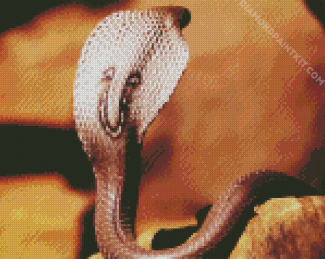 Cobra Snake Reptile diamond painting