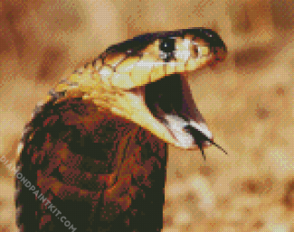 Cobra Snake diamond painting