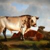 Cows Animals diamond painting