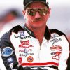 Dale Earnhardt Race Car Driver diamond painting