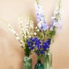 Delphiniums In Glass Bottles diamond painting