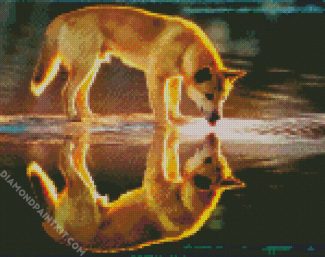 Dingo Reflection diamond painting