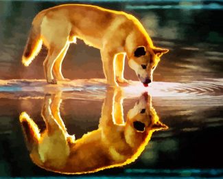 Dingo Reflection diamond painting