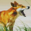 Dingo Australian Dog diamond painting