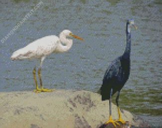 Egrets diamond painting