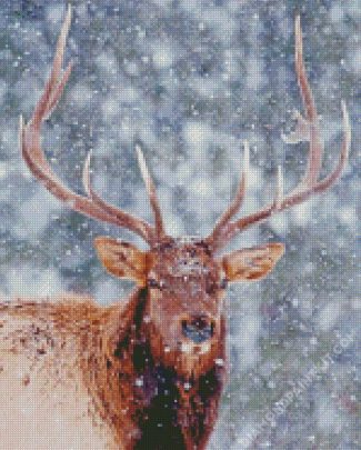 Elk In Snow Animal diamond painting