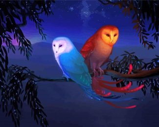 Fantasy Sun Moon Owls diamond painting