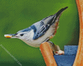 Female White Breasted Nuthatch Bird diamond painting