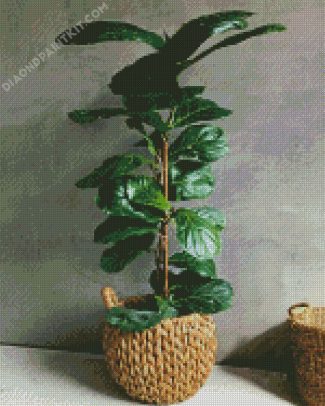Green Fiddle Leaf Fig Plant diamond painting