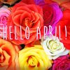 Hello April Flowers diamond painting