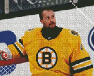 Jaroslav Halak Boston Bruins diamond painting
