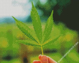 Marijuana Plant diamond painting