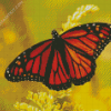 Monarch Butterfly diamond painting