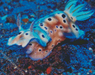 Nudibranch Fish diamond painting