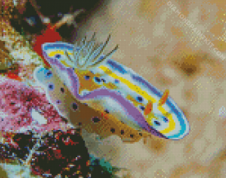 Nudibranch diamond painting