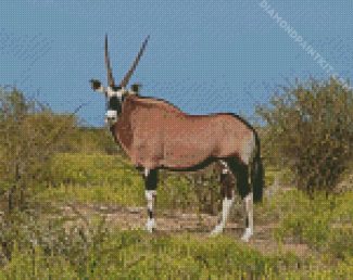 Oryx Animal diamond painting