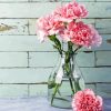 Pink Carnations Glass Vase diamond painting