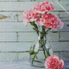 Pink Carnations Glass Vase diamond painting