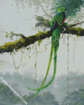 Quetzal Bird Art diamond painting