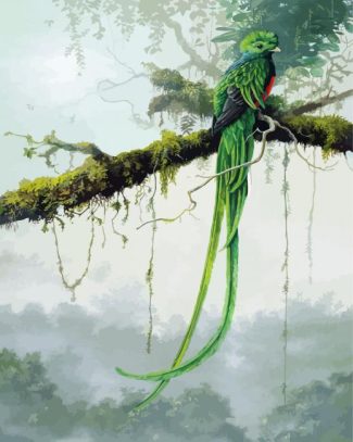 Quetzal Bird Art diamond painting