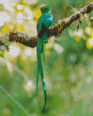 Quetzal Bird Back diamond painting