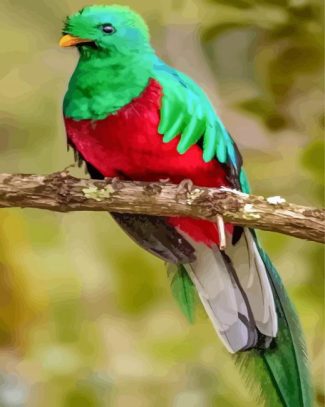 Quetzal Bird diamond painting