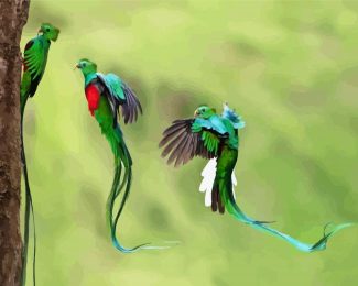Quetzal Birds diamond painting