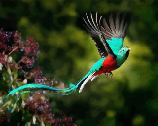 Quetzal Flying Bird diamond painting
