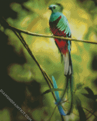 Quetzal Long Tailed Bird diamond painting
