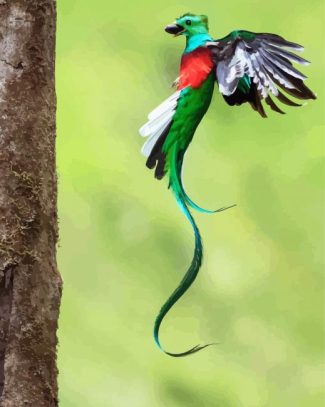 Quetzal Long Tailed Bird Flying diamond painting