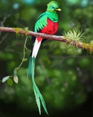 Quetzal On A Branch diamond painting