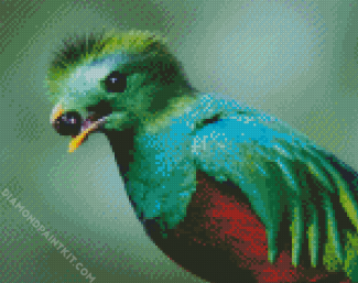 Quetzalv Bird Eating diamond painting