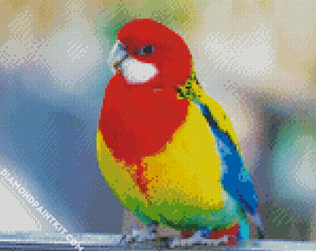 Rainbow Parakeet Bird diamond painting