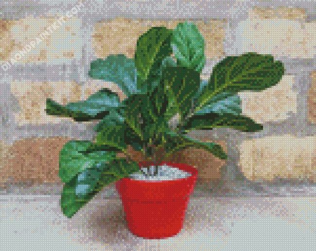 Red Plant Pot Fiddle Leaf Fig diamond painting