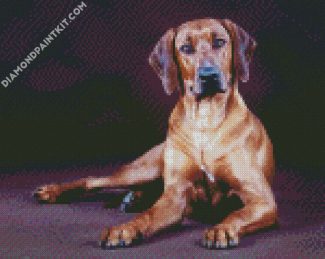 Rhodesian Ridgeback Dog diamond painting