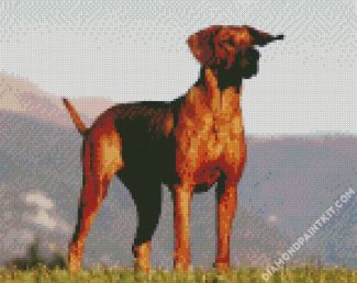 Rhodesian Ridgeback Dog Animal diamond painting
