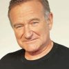 Robin Williams Actor diamond painting